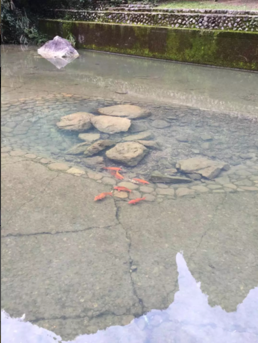 7467彩色印刷图库